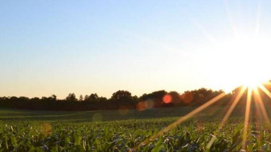 "El campo es parte de la solución"