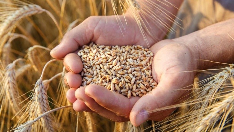 Hang está dispuesto a revisar los fideicomisos al aceite y trigo