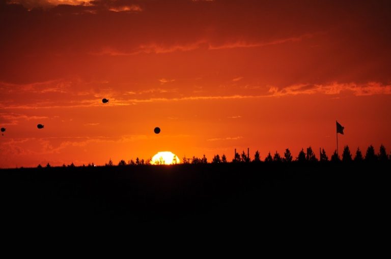 Ola de calor extremo: datos que reflejan las consecuencias de las altas temperaturas