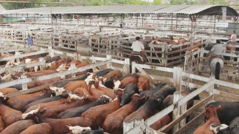 La carne, 30% más cara que el promedio de los últimos cinco años