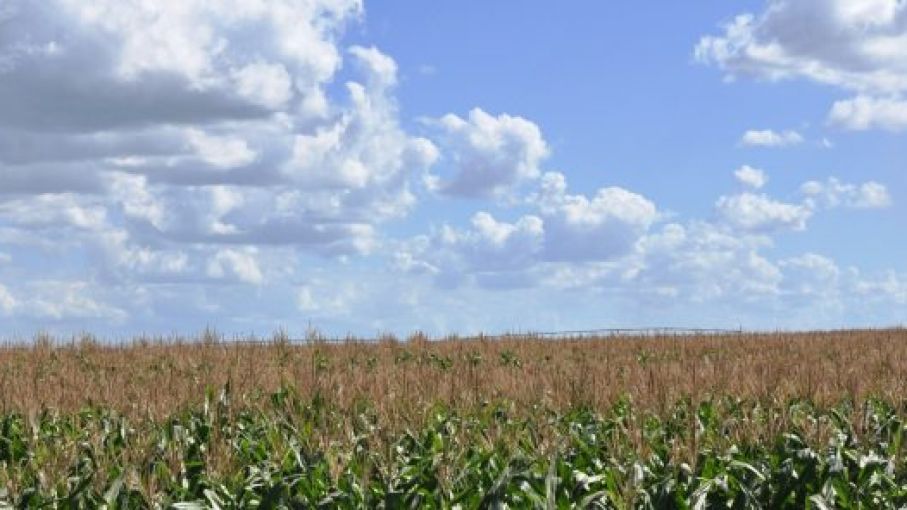 La «Niña» se acentúa, pero con lluvias a favor de Argentina