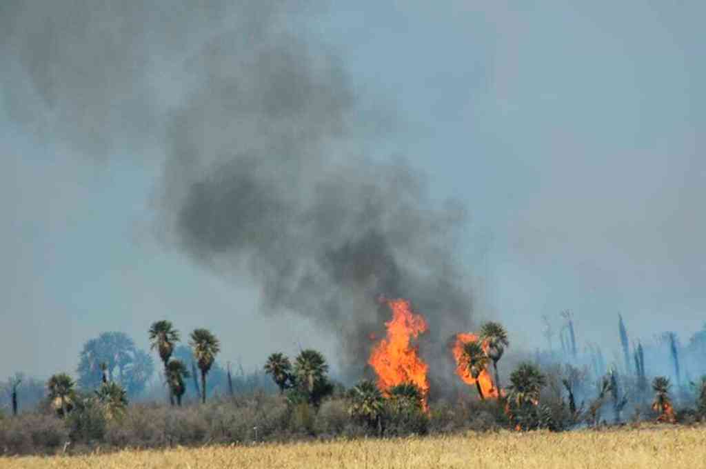 San Luis registra un foco de incendio forestal activo
