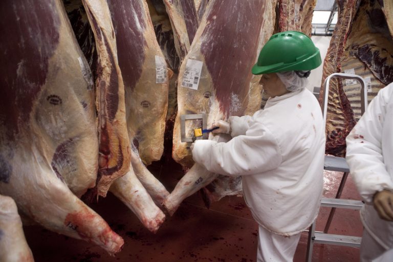 La industria cárnica argentina enfrenta una caída exportadora