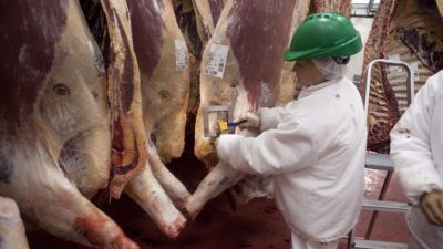 La industria cárnica argentina enfrenta una caída exportadora
