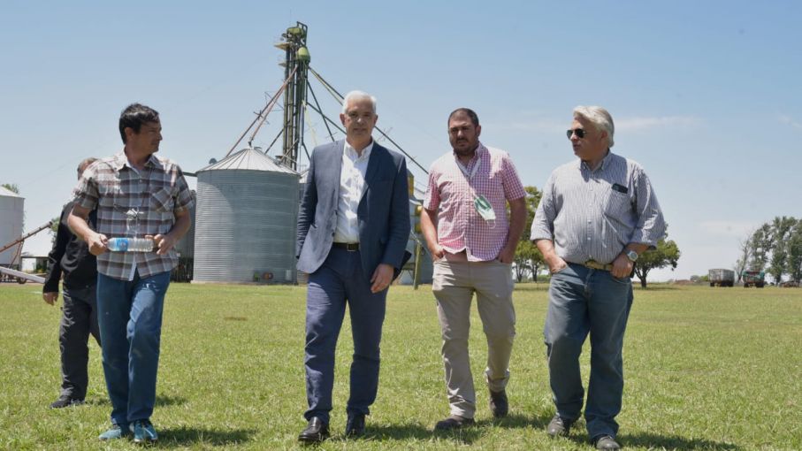 "El Gobierno trabaja para alcanzar certificación verde en alimentos"