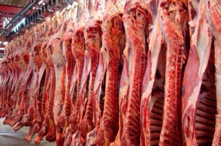 Inspecciones a frigoríficos faenadores de carne aviar del norte bonaerense