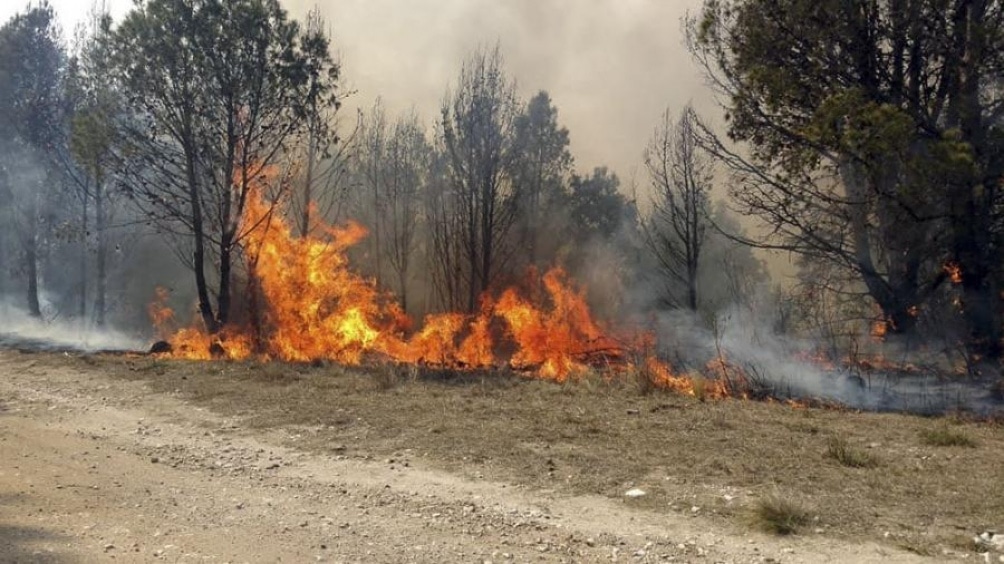 Córdoba registra un foco de incendio forestal activo