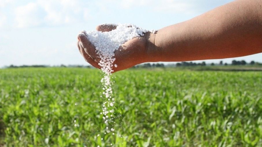 ¿Qué está pasando con la urea en el mundo?