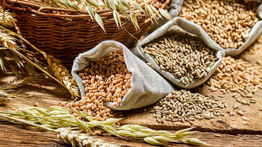 La cosecha ha terminado pero la fiesta del precio del grano no