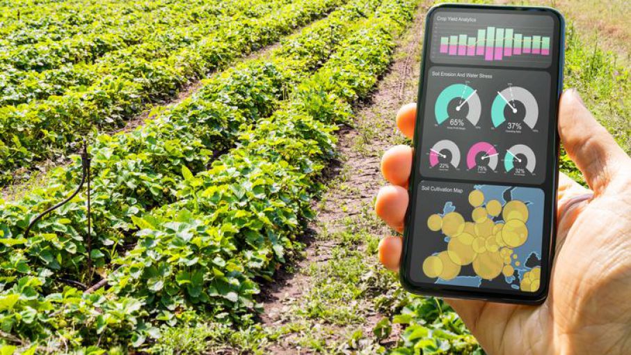 Agricultura de precisión: la revolución en la fertilización