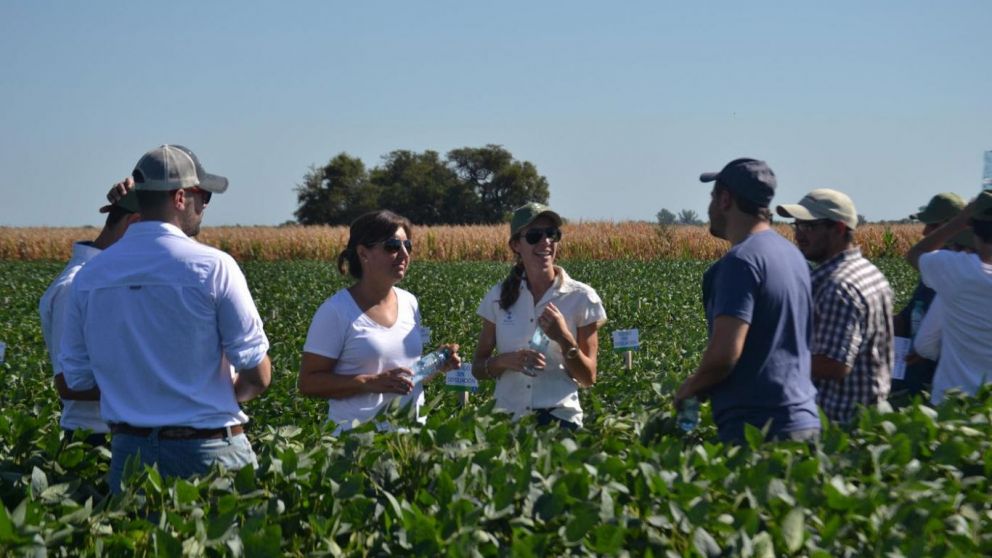 Fertilizaciones foliares: Eficiencia en el uso de nutrientes y gran retorno de la inversin