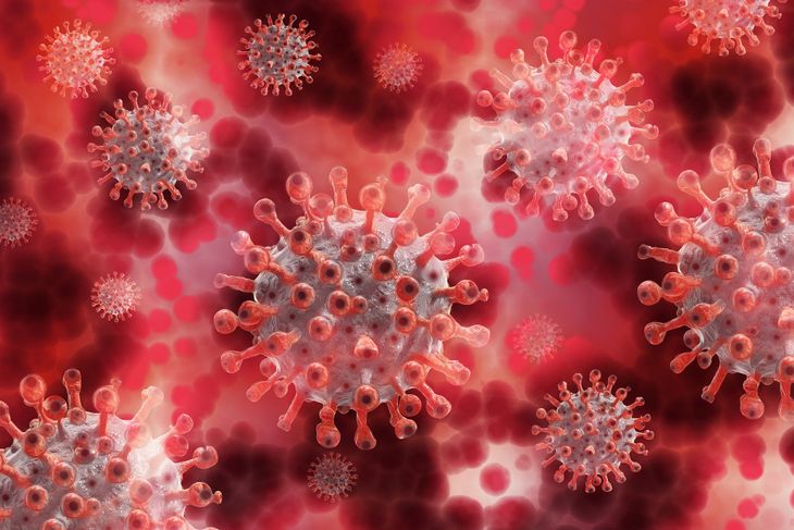 Covid-19: OMS nombra Omicron a la nueva variante y dice que es "preocupante"