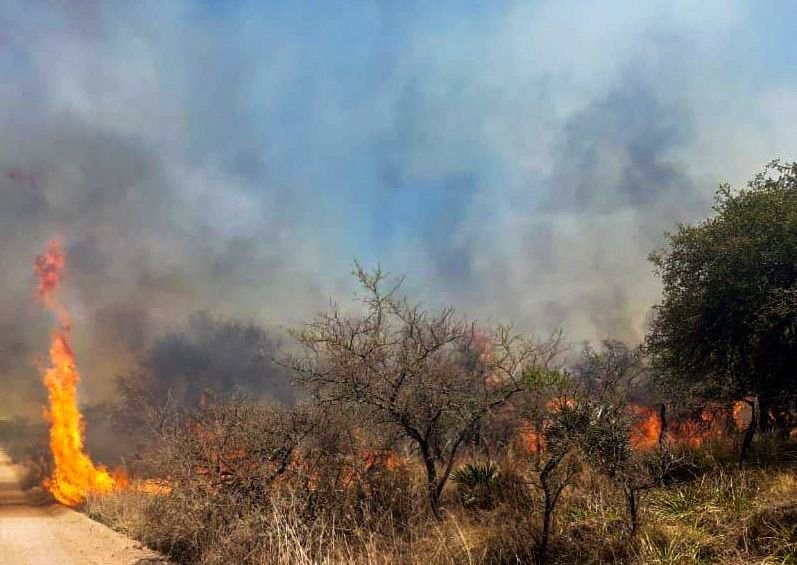 Foco de incendio forestal permanece activo en la localidad riojana de Arauco