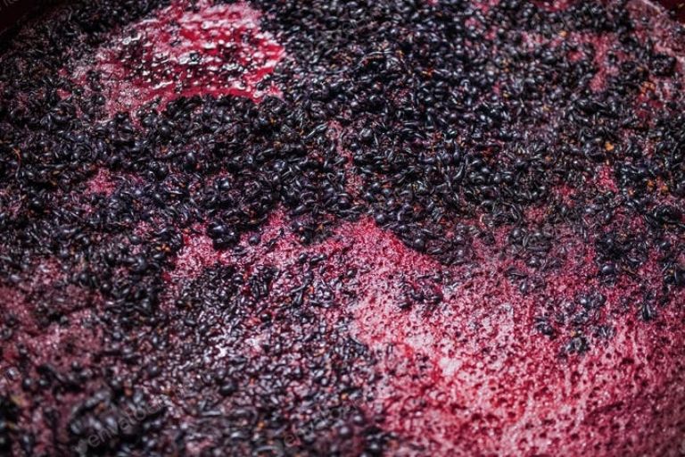 Mendoza y San Juan acordaron destinar 17% de la producción al mosto