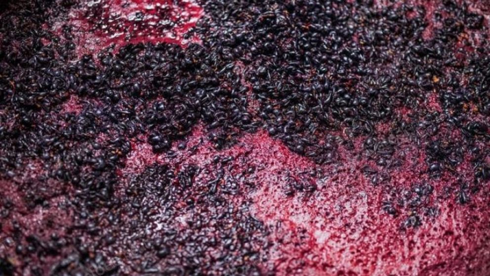 Mendoza y San Juan acordaron destinar 12% de la produccin de uva para mosto y otros subproductos