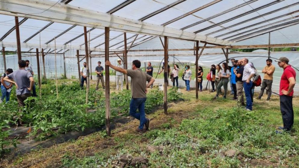 Agricultura apoya el lanzamiento de la primera carnicera agroecolgica