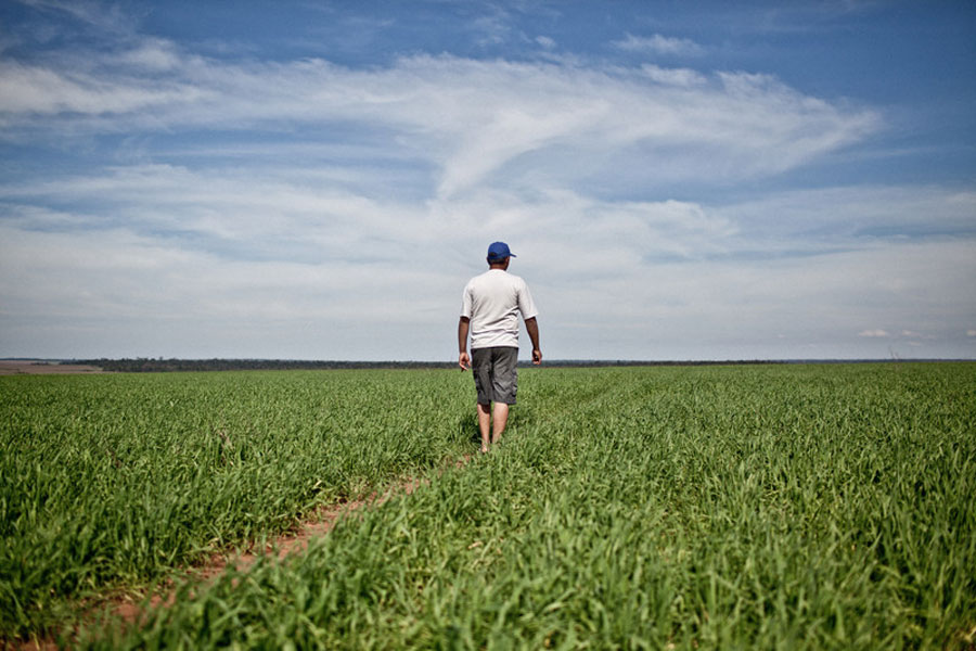 Rechazo del agro argentino al reglamento europeo sobre deforestación