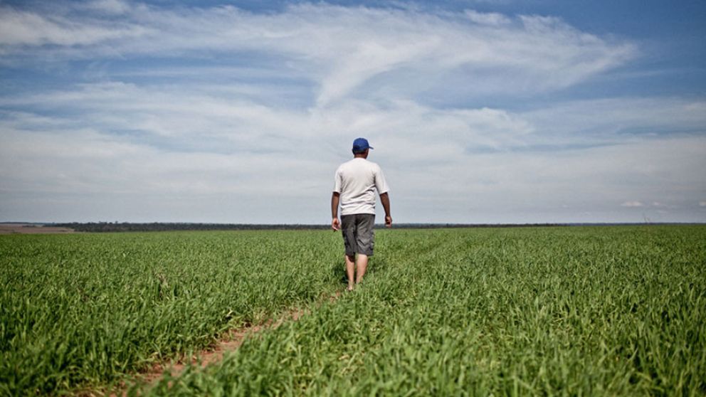 Rechazo del agro argentino al reglamento europeo sobre deforestacin