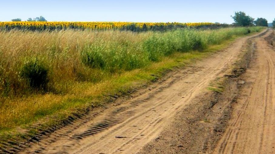 Una ‘red de redes' para hacer la agricultura más sustentable