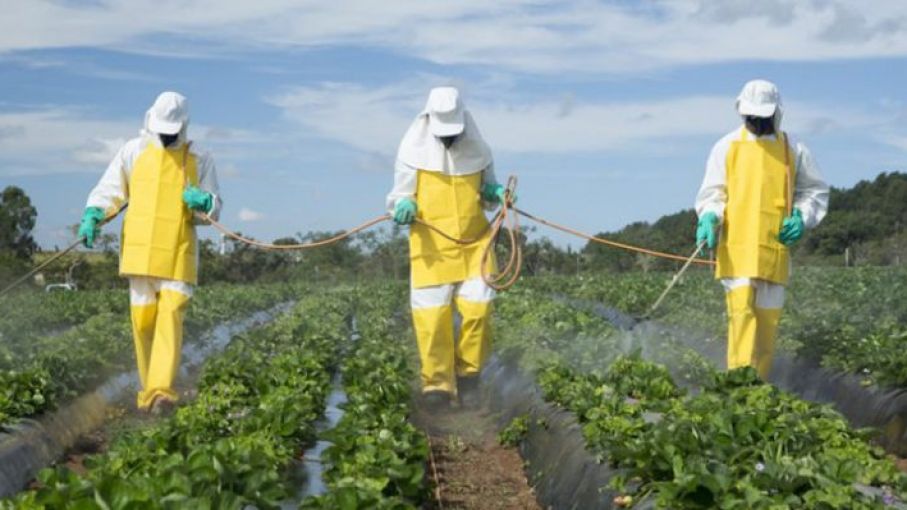 La red BPA promueve el cuidado de las personas y del ambiente