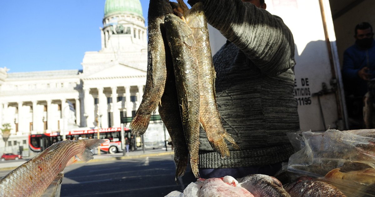 Realizan hoy un nuevo "pescadazo" frente al Congreso Nacional