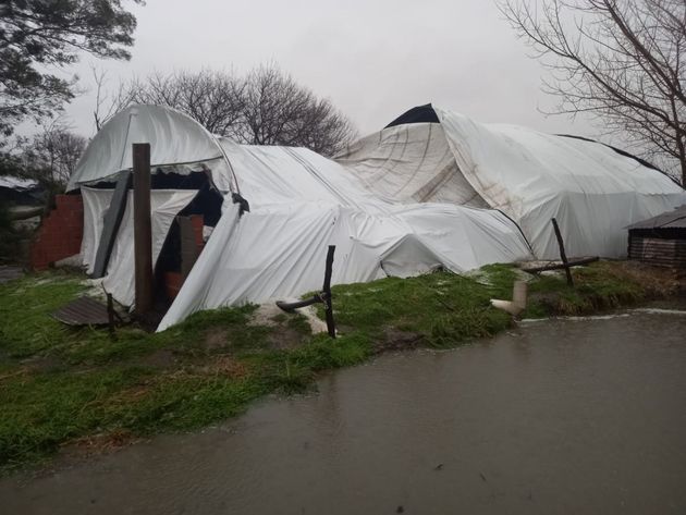Productores de Saladillo se recuperan luego de perder $600 millones por tornado