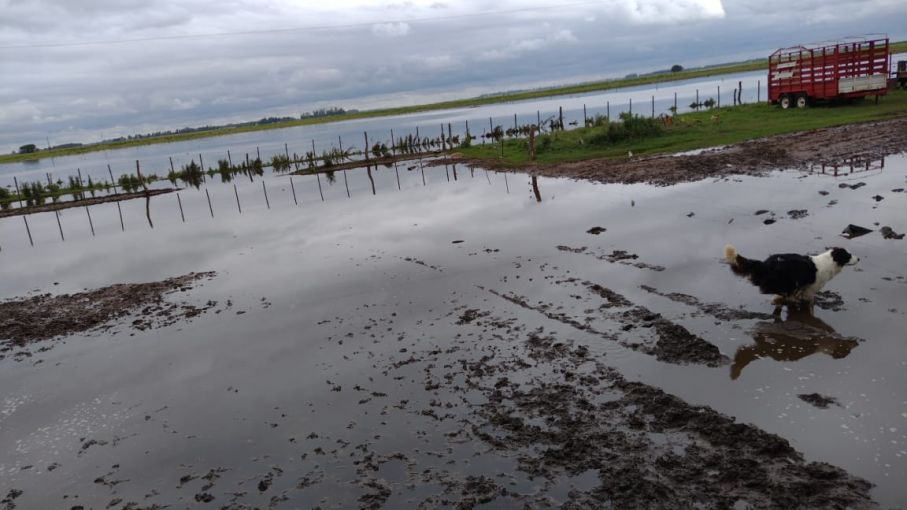 La Pampa: ante excesivas lluvias FAA solicitó declarar en emergencia las zonas afectadas