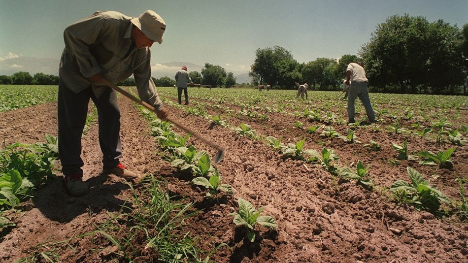 Habrá bono para los trabajadores rurales