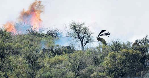 Aseguran que las condiciones meteorológicas "son alentadoras" para combatir el incendio en Río Negro