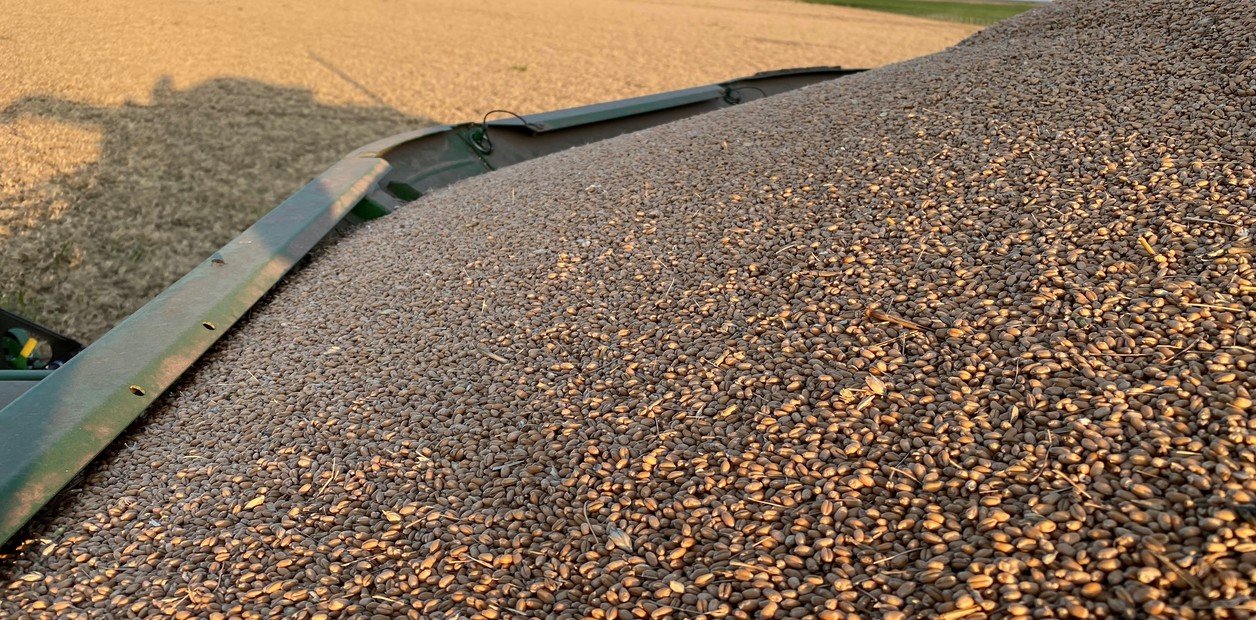 Año récord para los futuros agropecuarios: 60 millones de toneladas negociadas