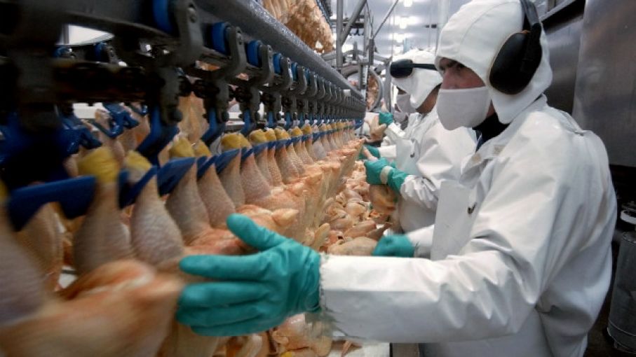 La industria avícola argentina está entre las más sustentables del mundo