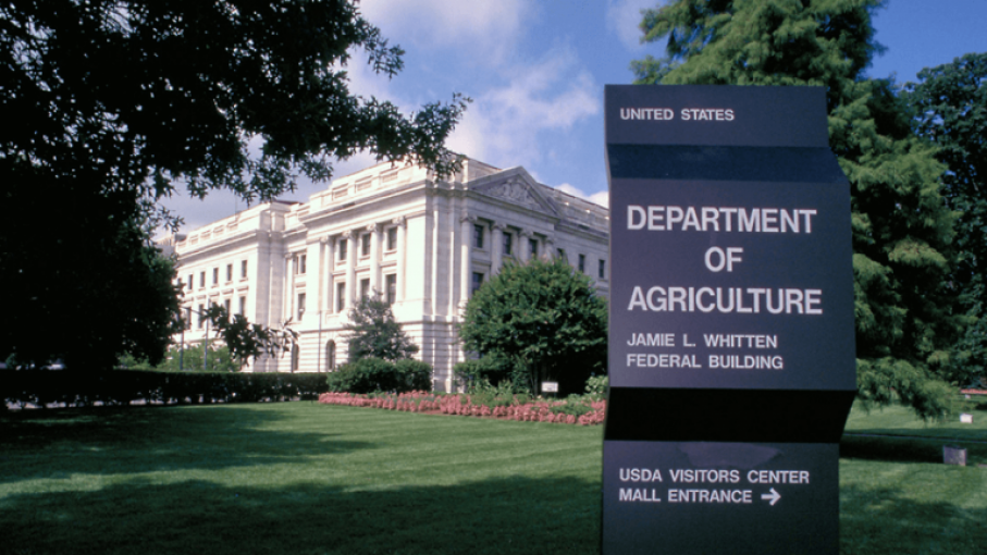 USDA baja estimaciones para cosechas de soja y maíz de argentina