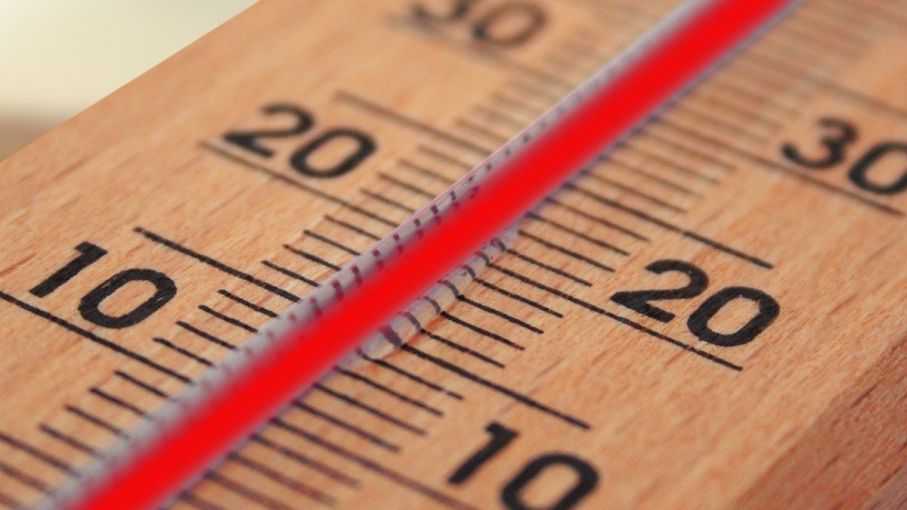 Más de 75 récords de temperatura en un enero de calor extremo