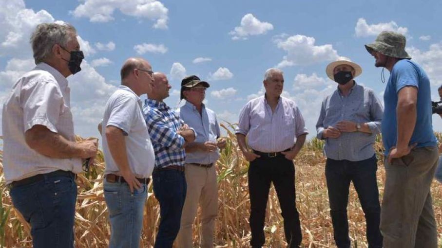 Semana clave para definir asistencia por emergencia agropecuaria