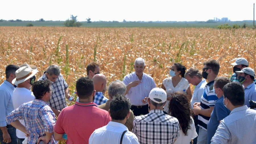 "Estamos trabajando en soluciones concretas para nuestros productores"