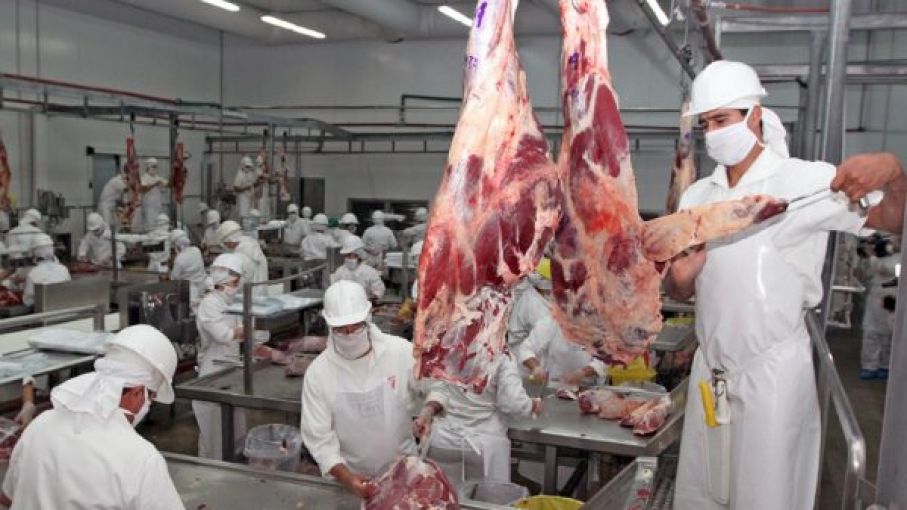 Creció la faena bovina casi 3% mensual en mayo