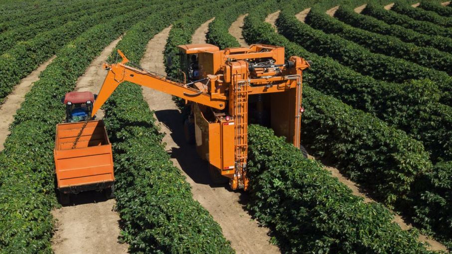 Misiones: entregan créditos por la emergencia agropecuaria