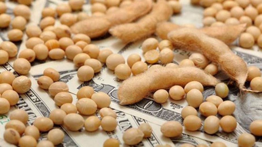 En 2021, los complejos agroindustriales aportaron $ 2.300 millones por día al estado