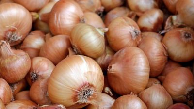 La AFIP con el foco en las cebollas: desbaratan "maniobras fraudulentas" en producción y comercialización