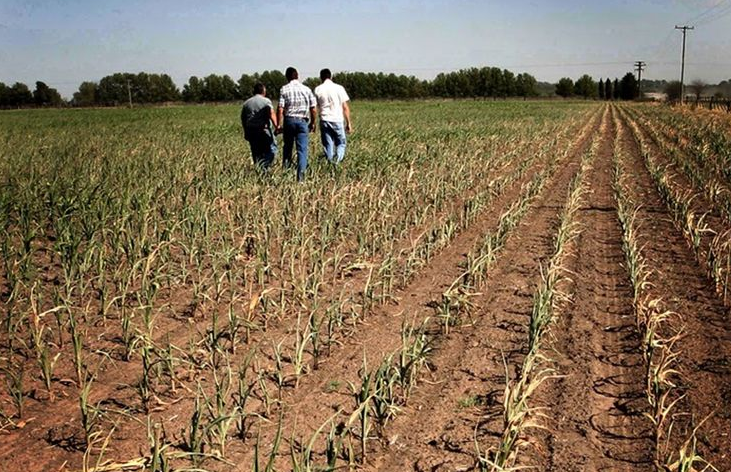 Extienden el acceso a beneficios fiscales a productores afectados por emergencia agropecuaria