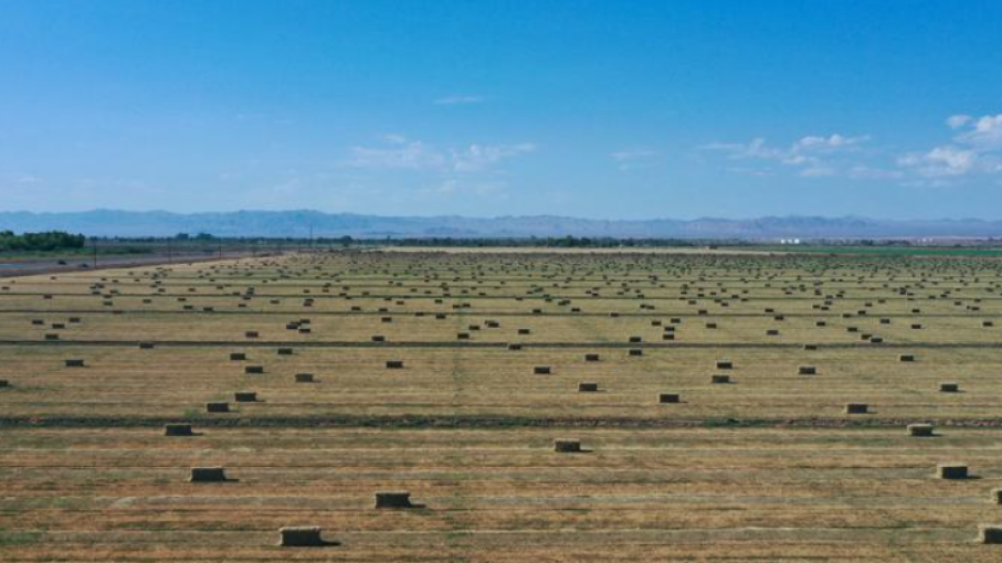 Los pagos de seguros de cosechas en EE. UU. aumentan considerablemente a medida que el cambio climático empeora las sequías y las inundaciones