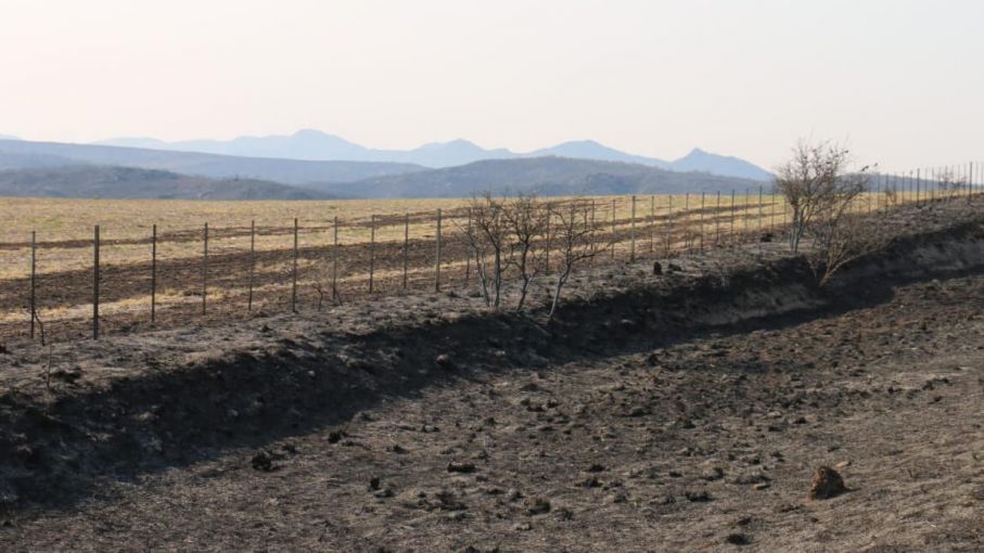 Entregan $5 millones a pequeños productores afectados por incendios