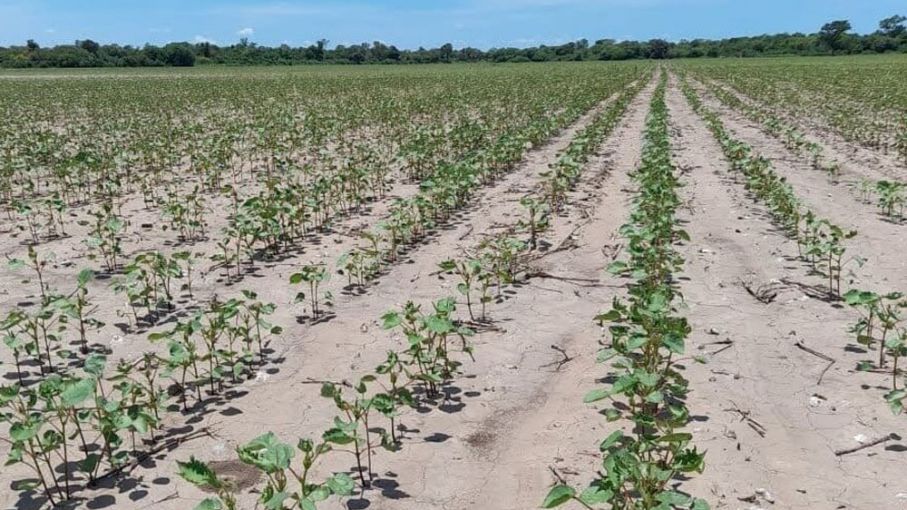 Santa Fe verificará in situ los pedidos de productores para acceder a la emergencia agropecuaria