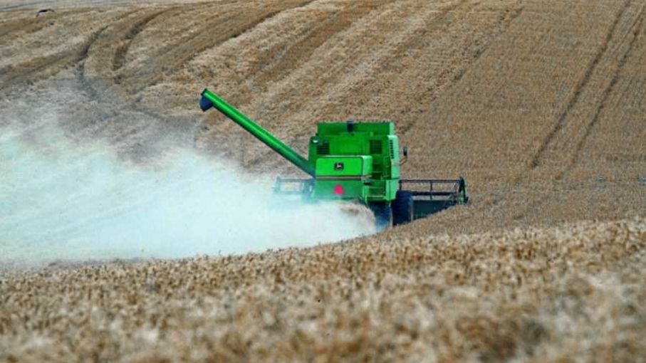 Consejo Agroindustrial dijo que acuerdo con el FMI es "un paso adecuado" para el crecimiento