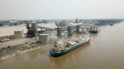 Había soja: agroexportadores liquidaron US$ 1.999 millones en noviembre