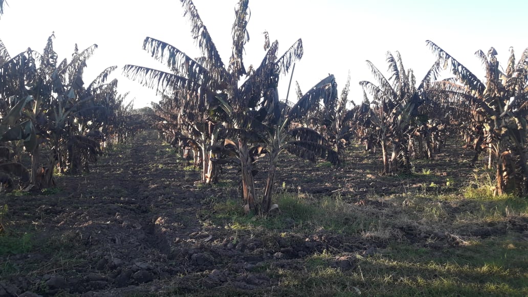 Formosa: productores atraviesan una gravísima situación