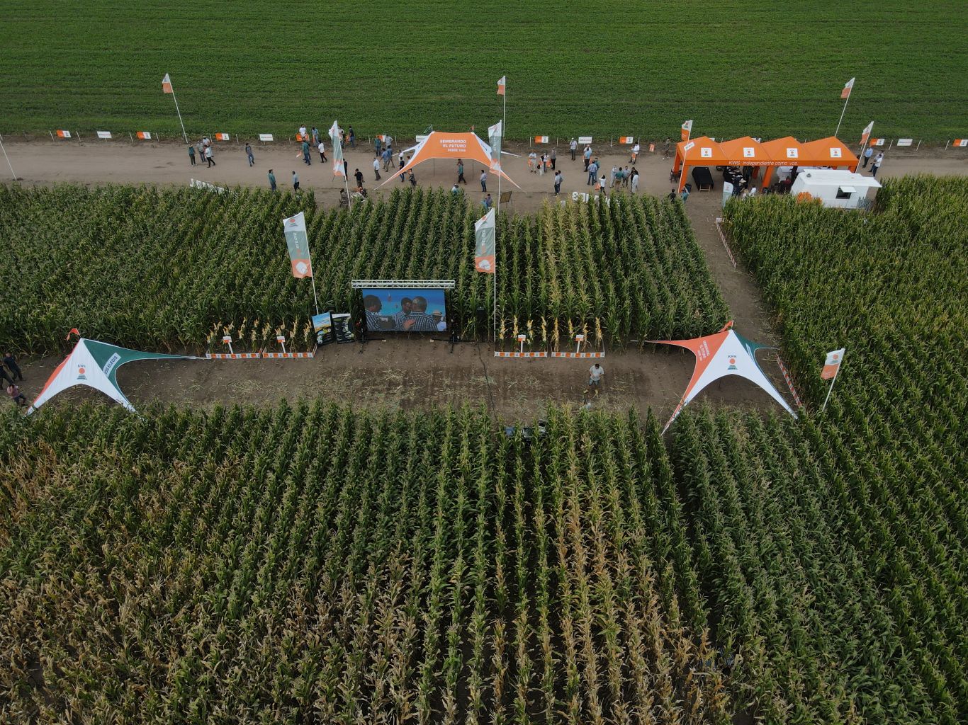 KWS presentó la evolución de la genética