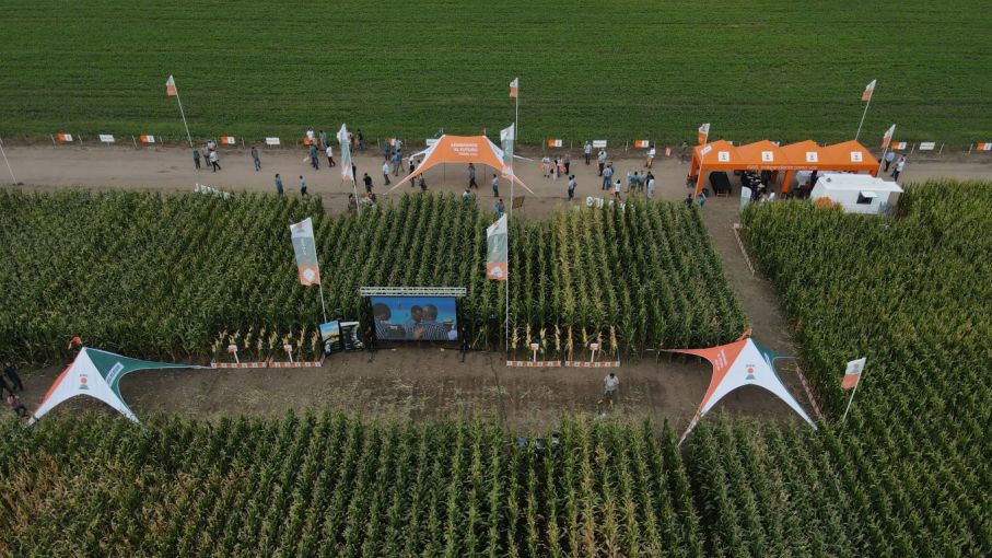 KWS presentó la evolución de la genética