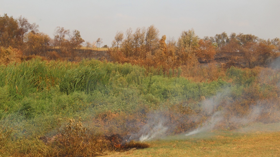 Decretan la emergencia agropecuaria en Formosa
