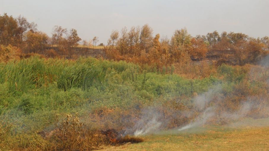 Decretan la emergencia agropecuaria en Formosa